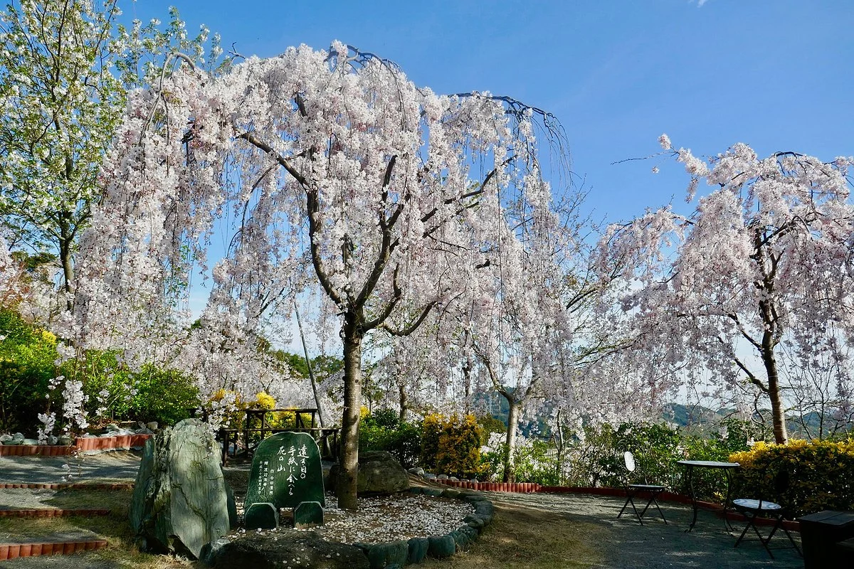 Hanamiyama Shin No Tegamikan