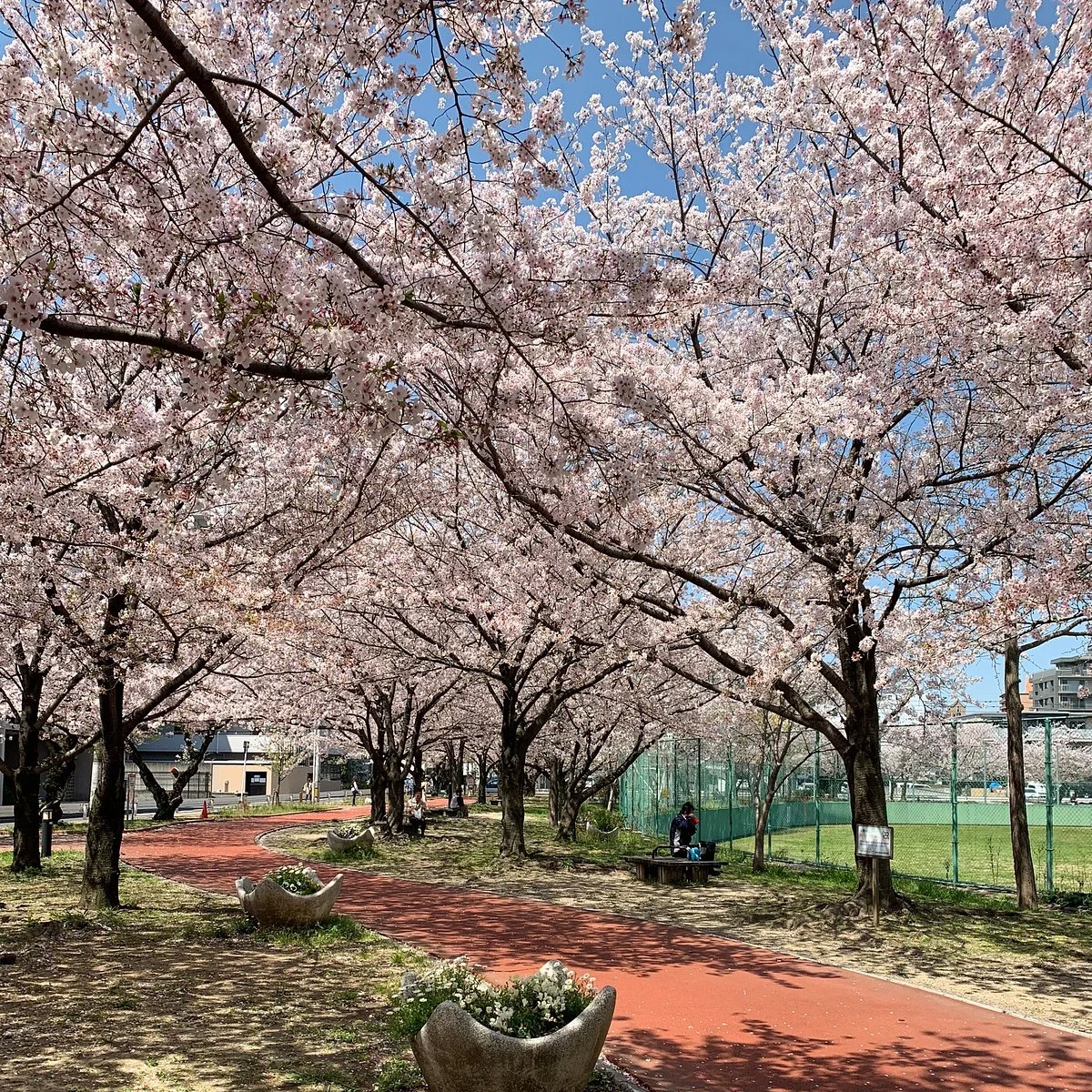 Sanno Park