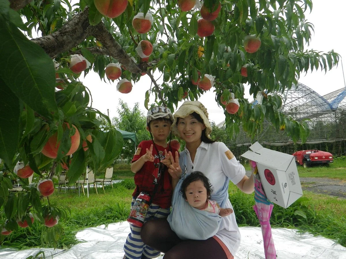 Ono Orchid & Orchard Garden