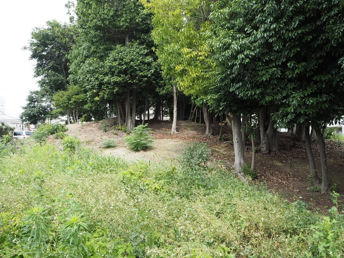 Zenemonyama Burial Mound