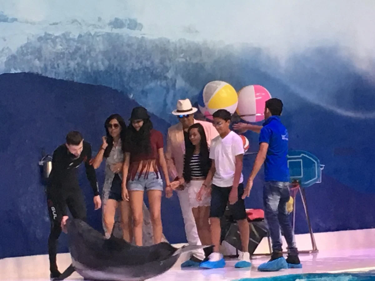 Dolphin Aquarium