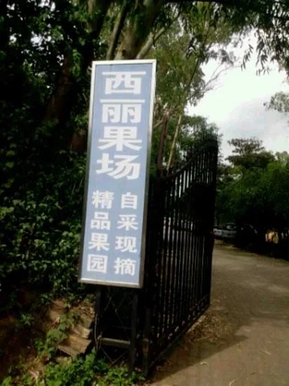 Shenzhen Xili Fruit Farm
