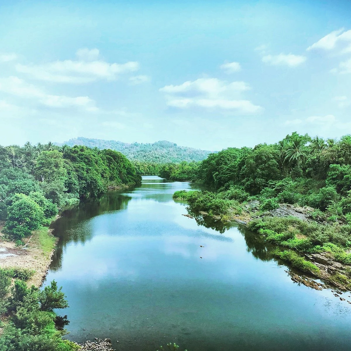 Mandovi RIver
