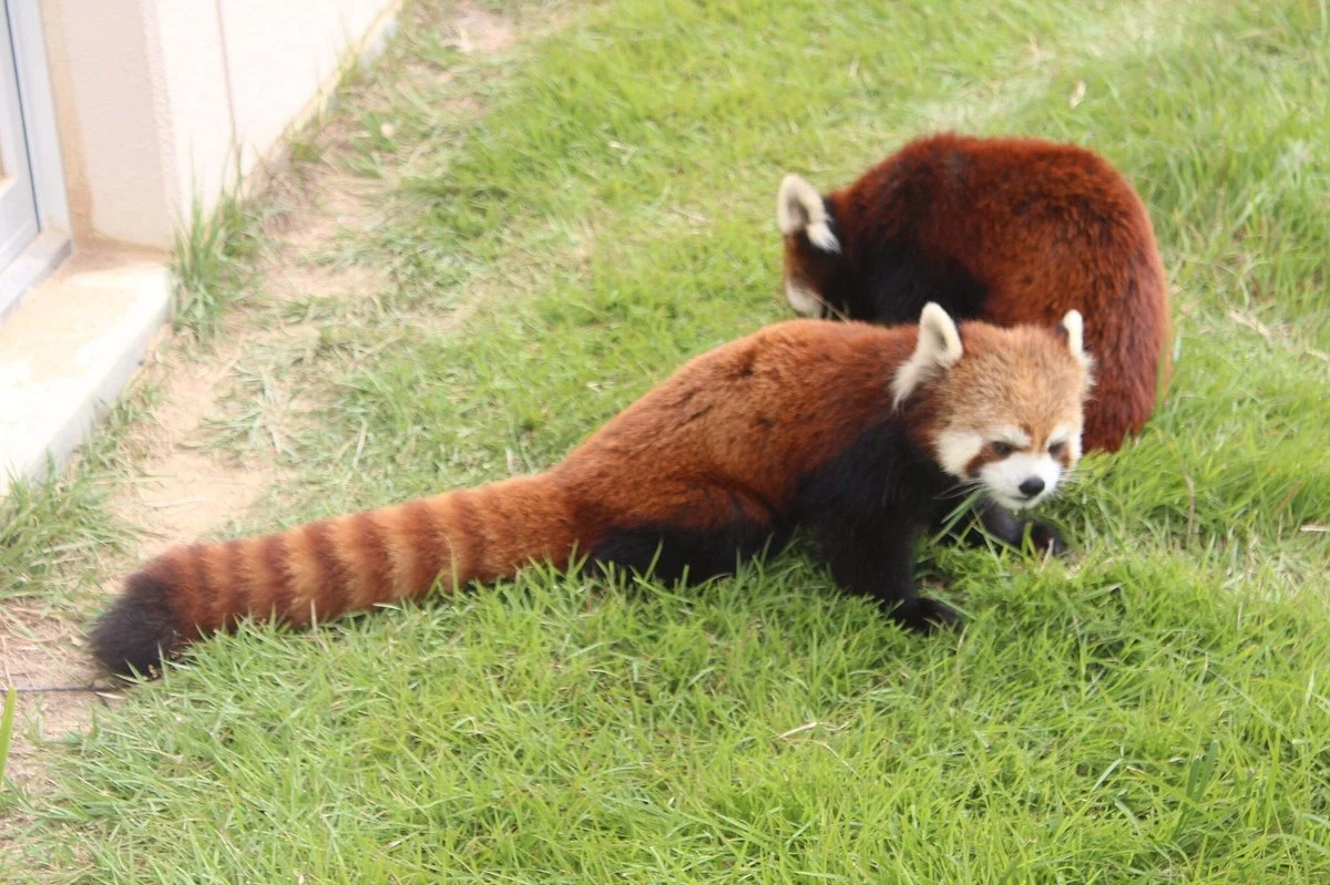 Fukuchiyama City Zoo