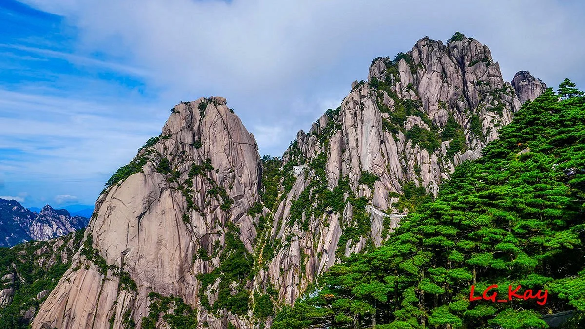 Greeting Pine (Ying Ke Song)
