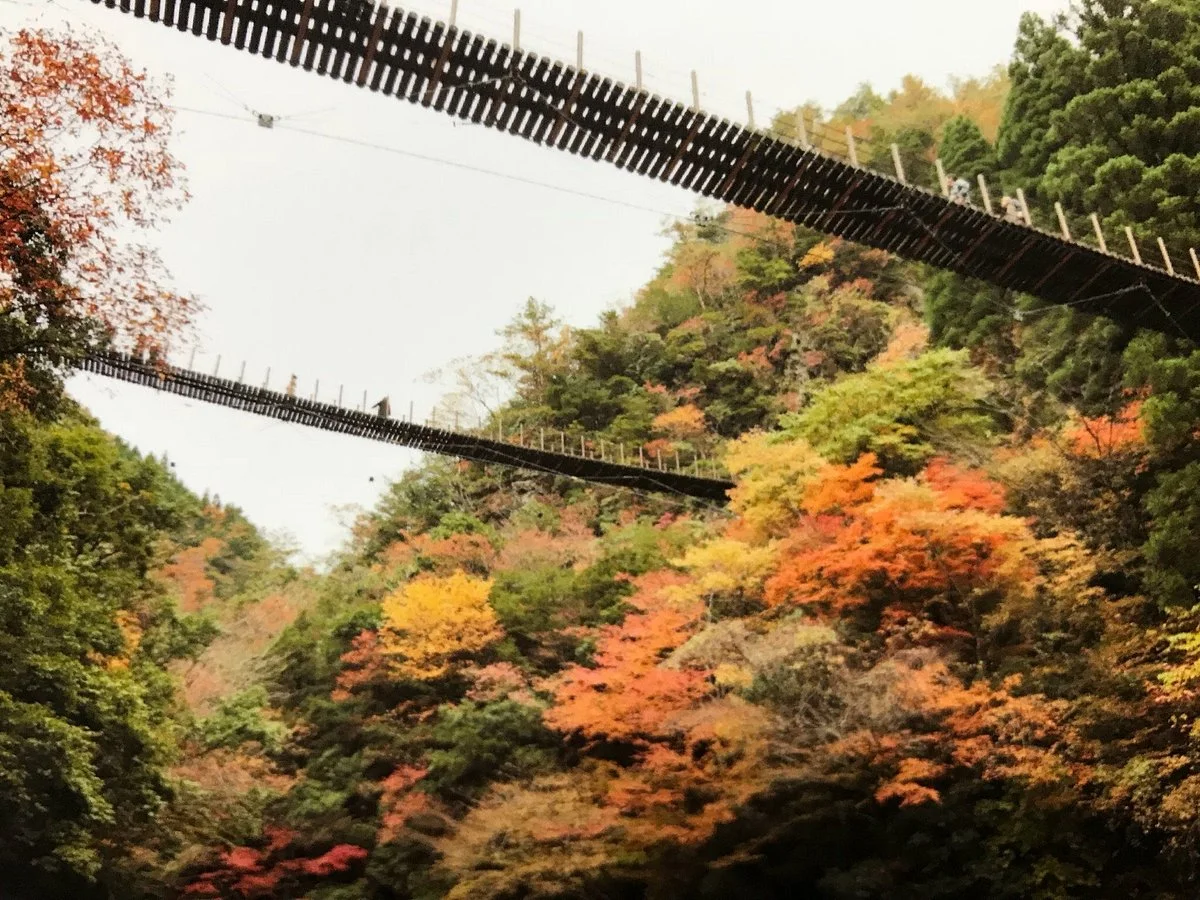 Momigi Suspension Bridge