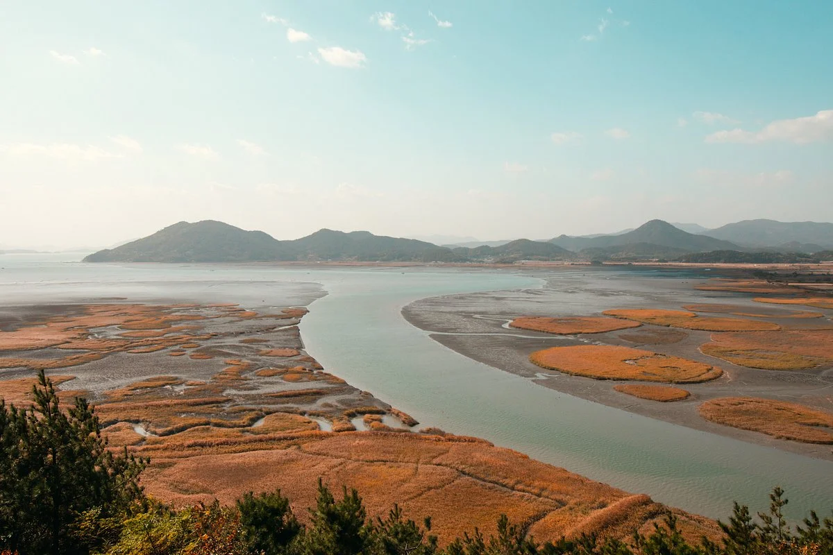 Suncheon Bay Wetland Reserve
