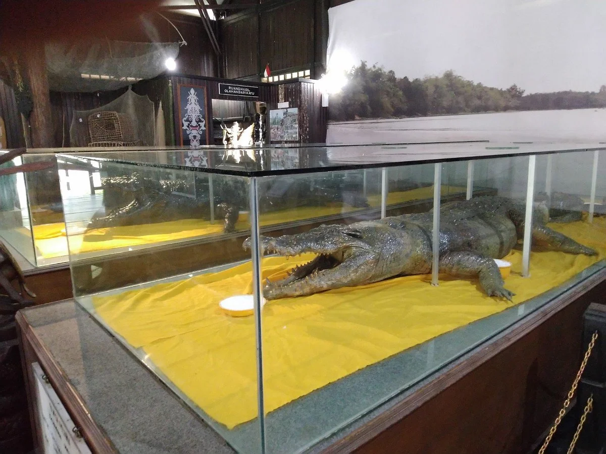 Museum Kayu