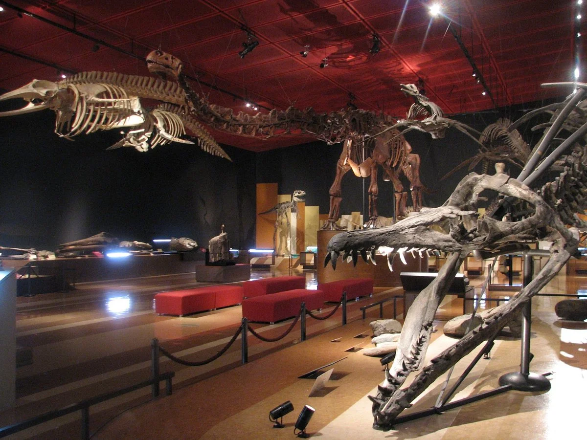 Coal & Fossil Museum