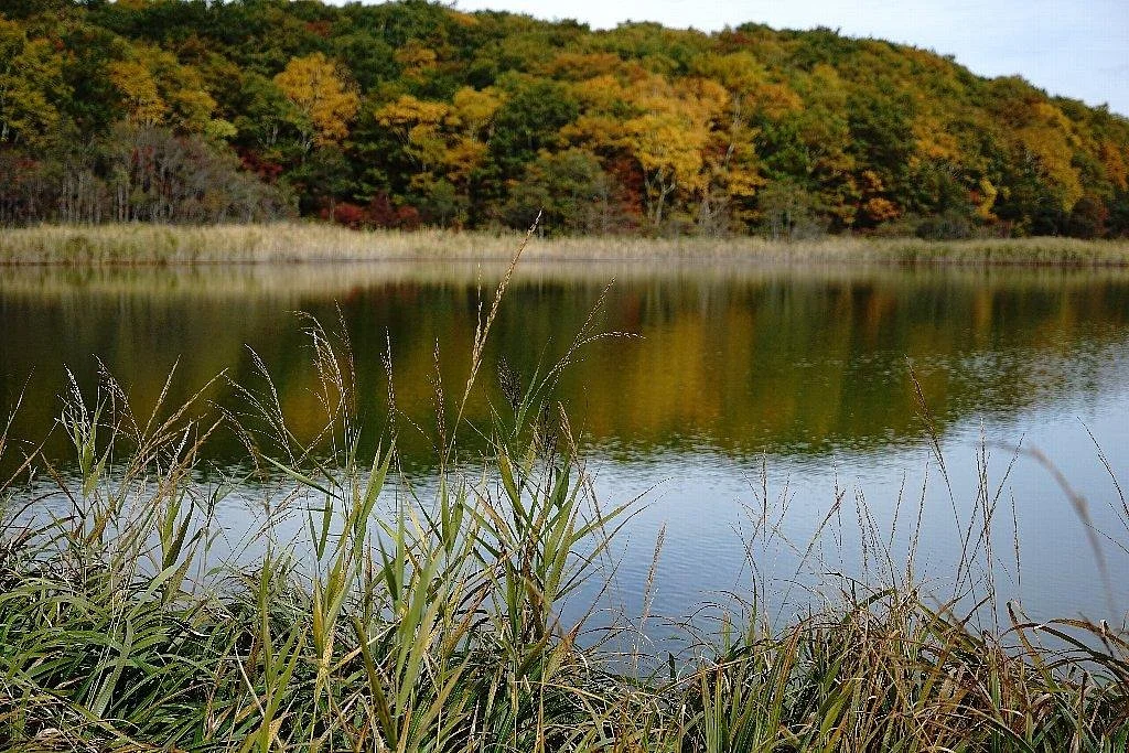 Gozaisho Pond and Goshiki Pond