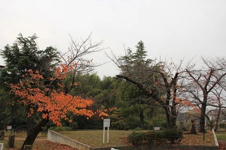 Itasuke Park