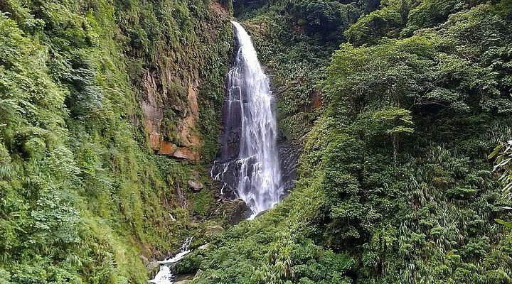 Jinbing Green Trail