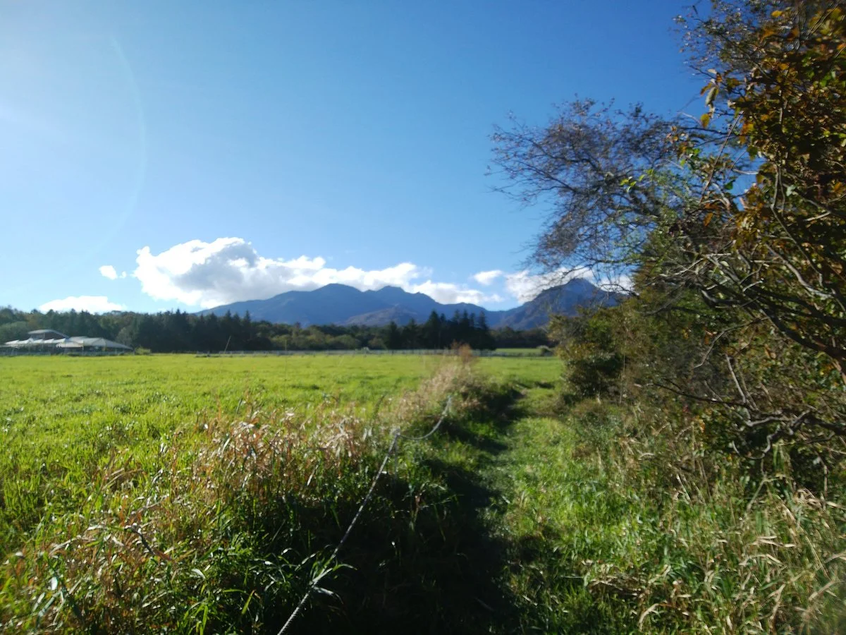 Yatsugatake Alpaca Farm