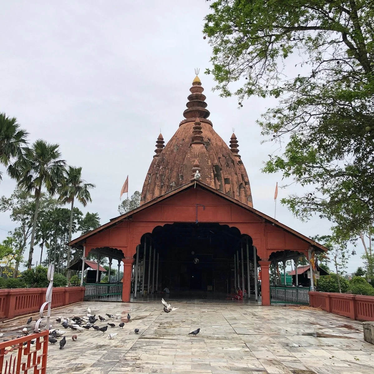 Shiva Dol