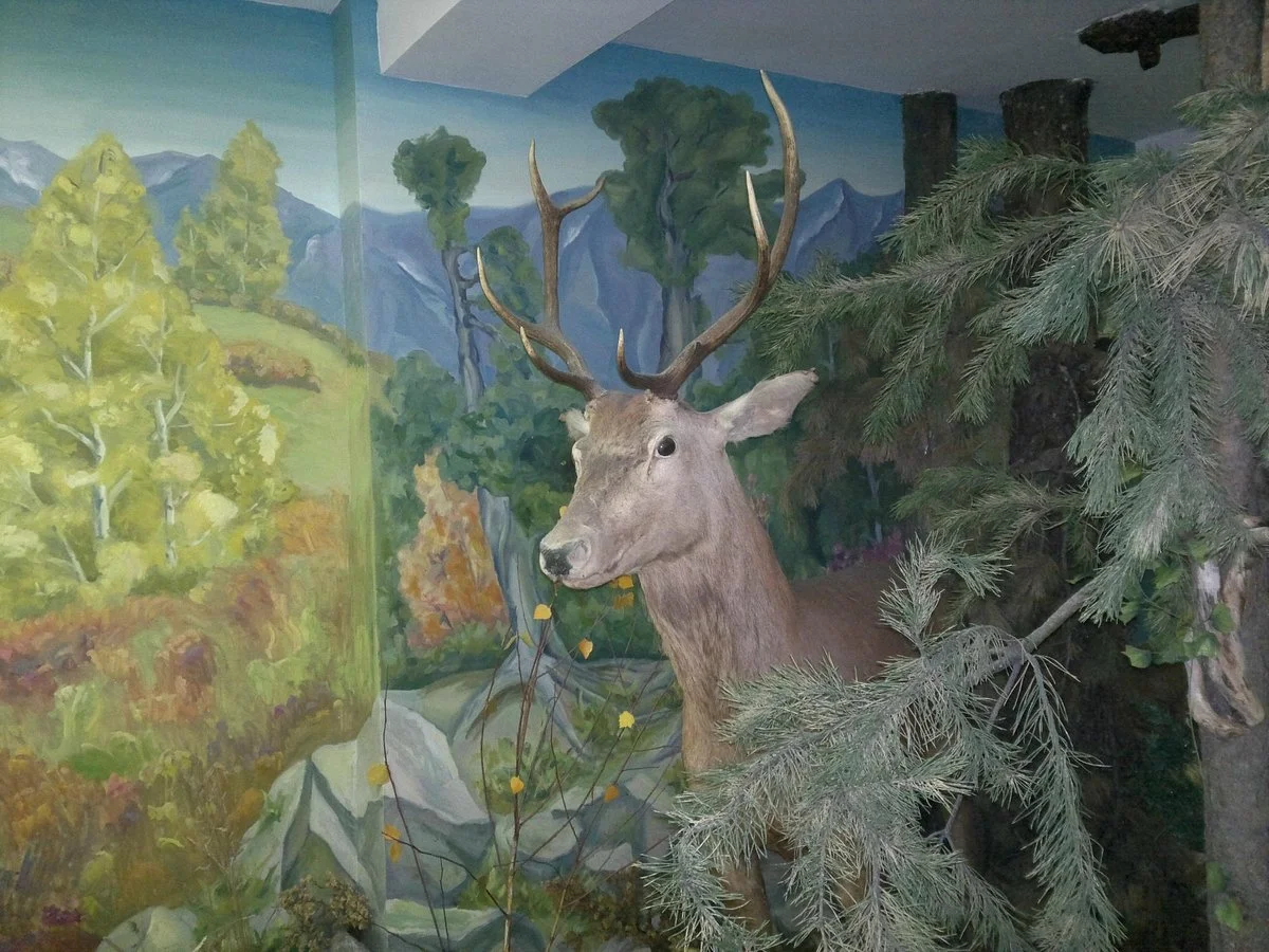 Ridder Museum of History and Local Lore