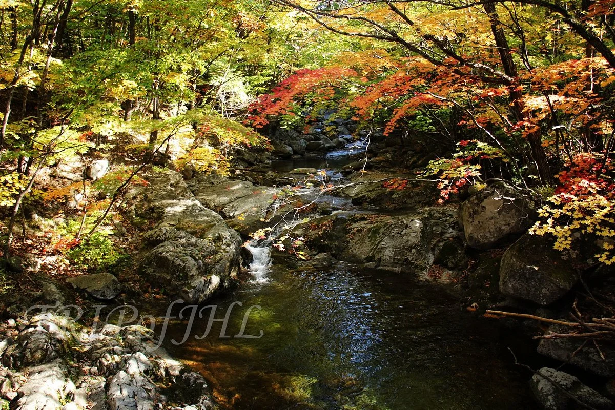 Suryeomdong Valley