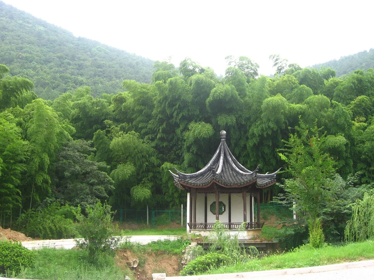 Wangshan Farm