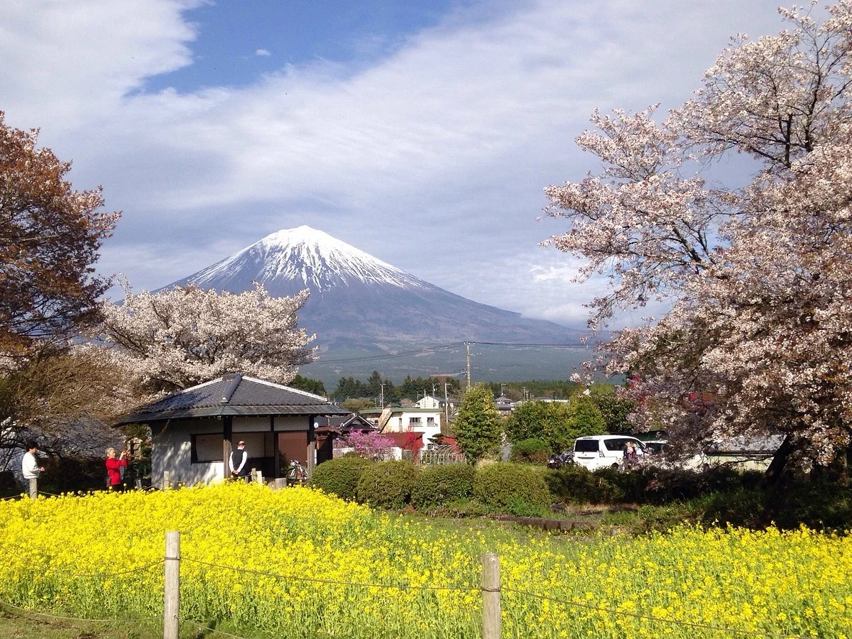 Kariyado no Geba Zakura (Sakura)