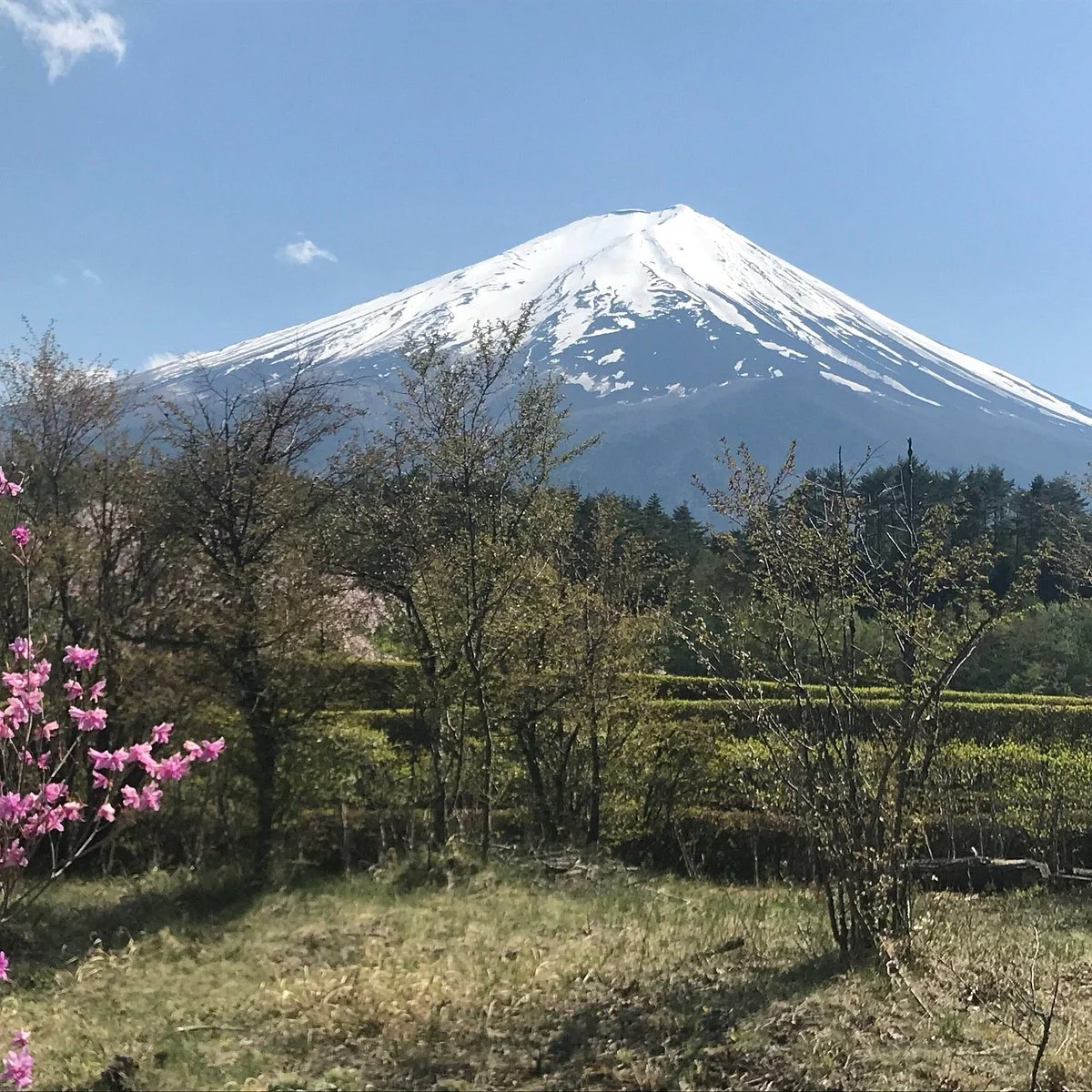 Kawaguchiko Sozo-no-Mori