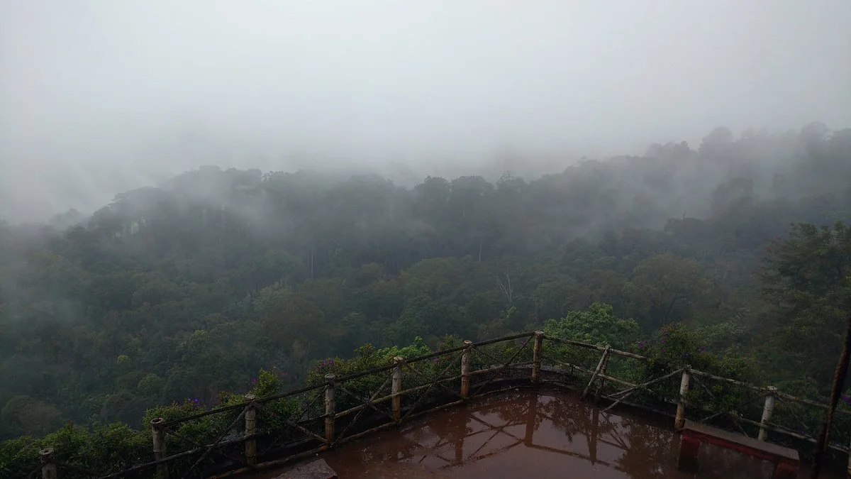Kailasappara View Point