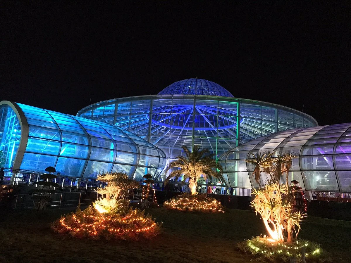 Glass House