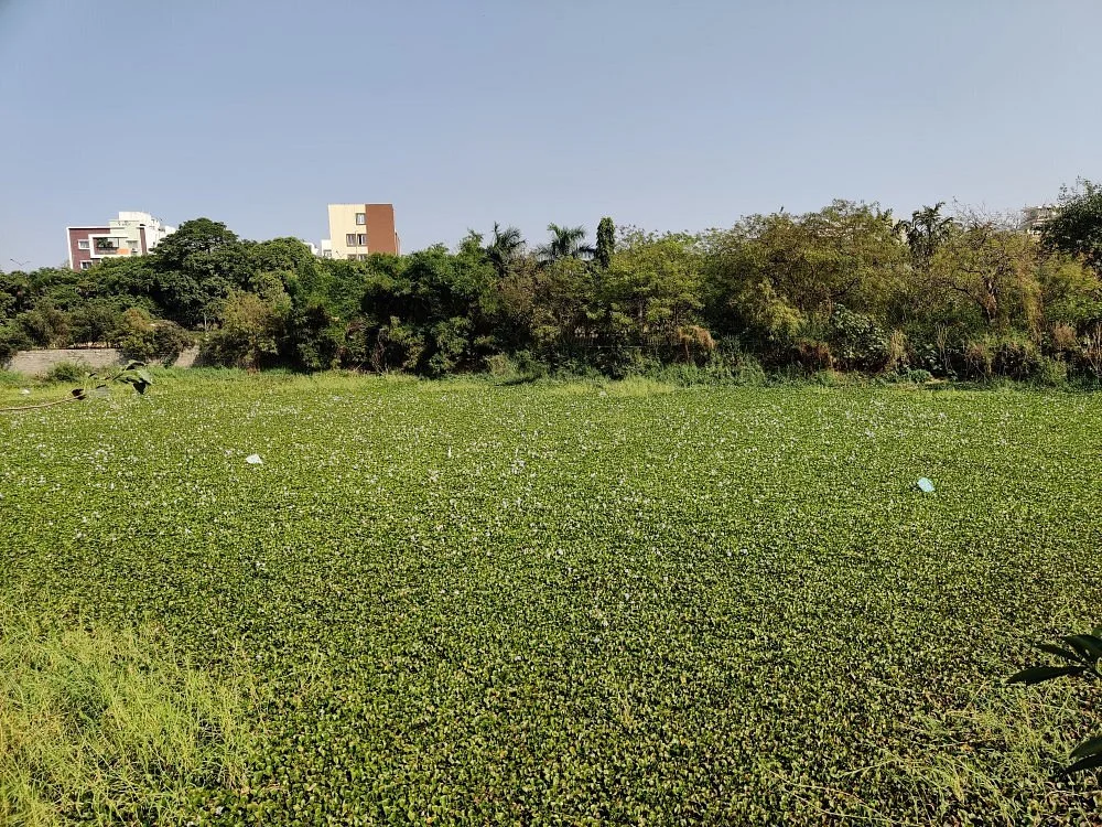 Krishna Kanth Park
