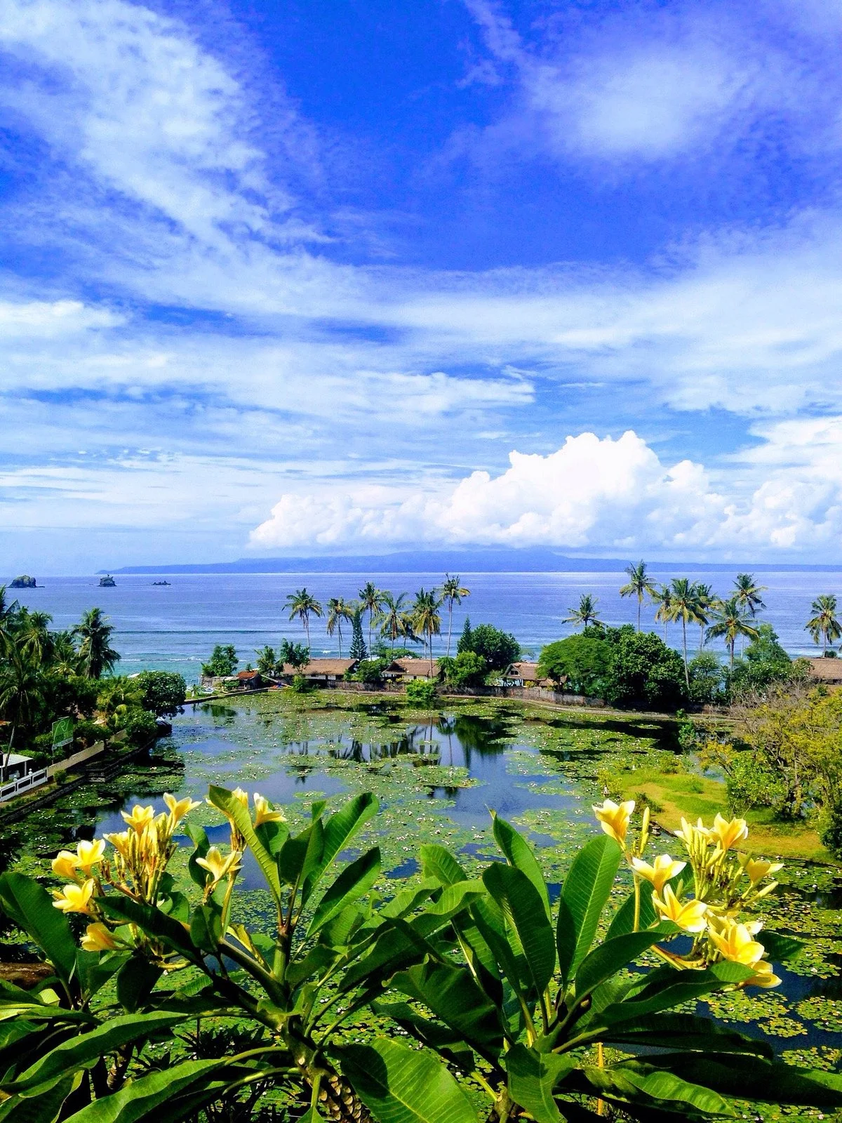 Guungan Hill