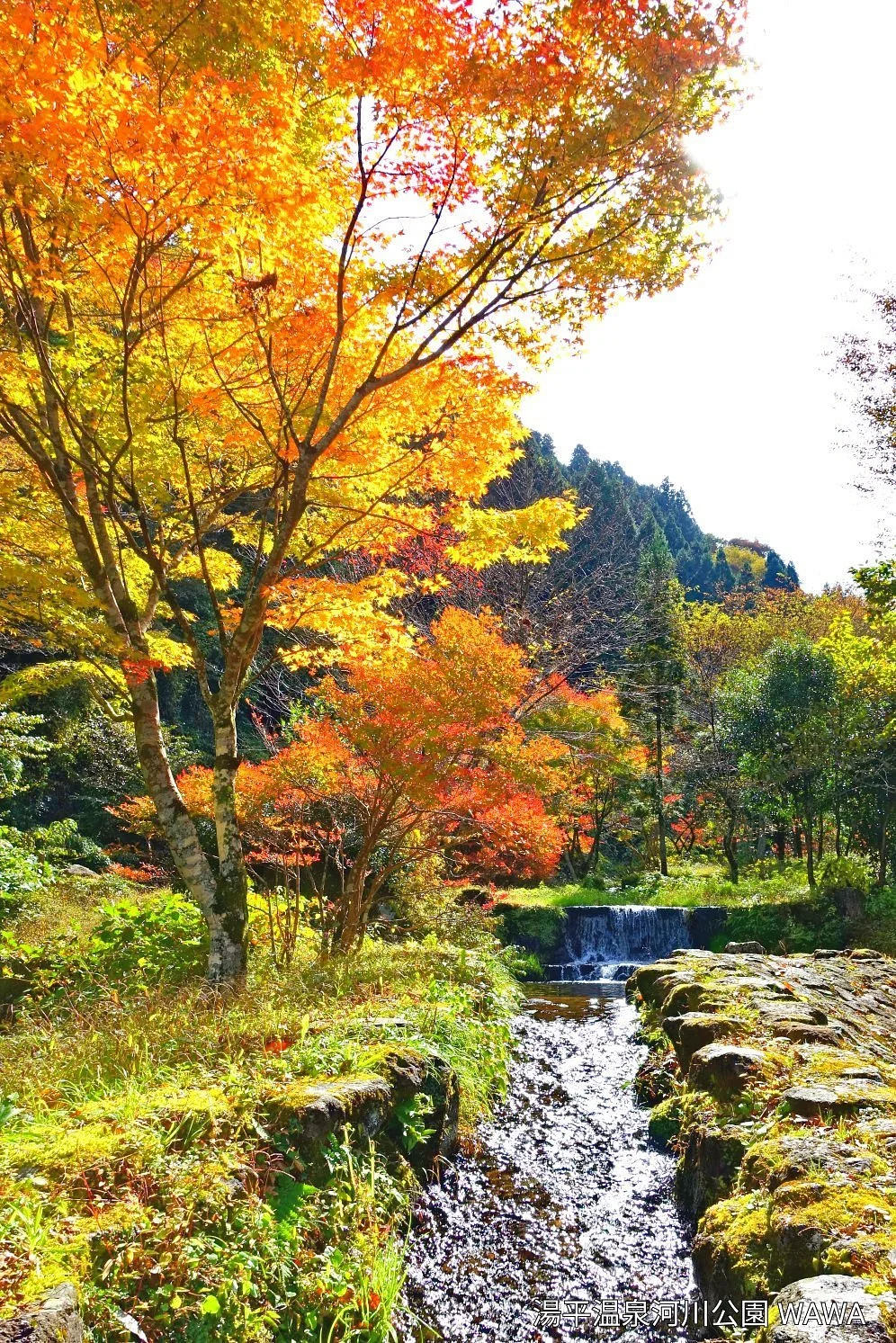 Kasen Park