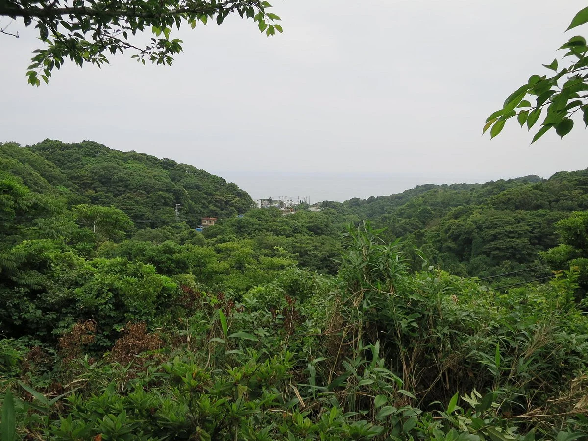 Shirasu Kashuku