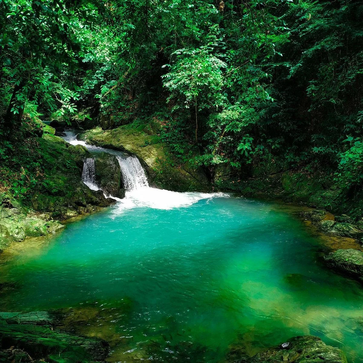 Raman Waterfall Forest Park