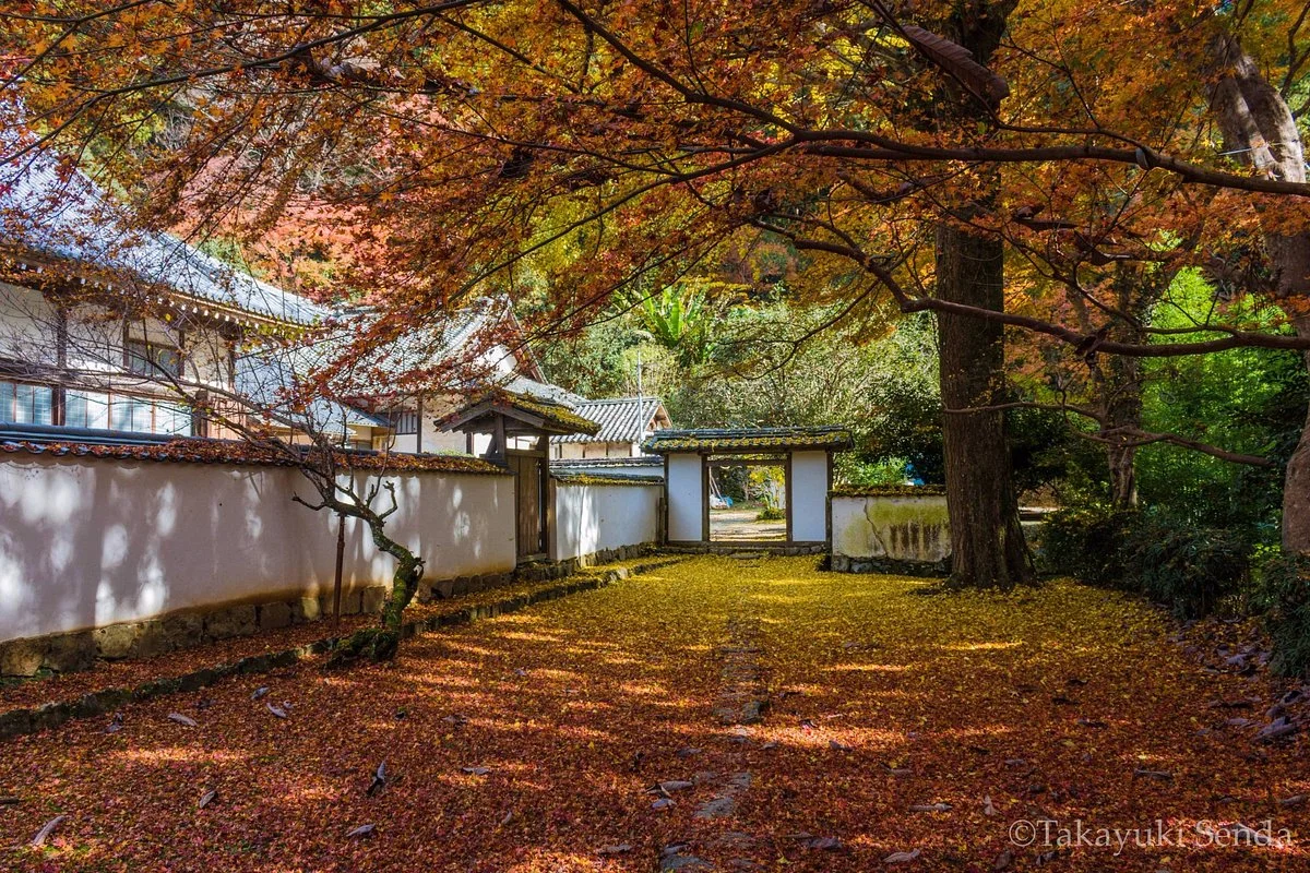 Nyoho-ji Temple