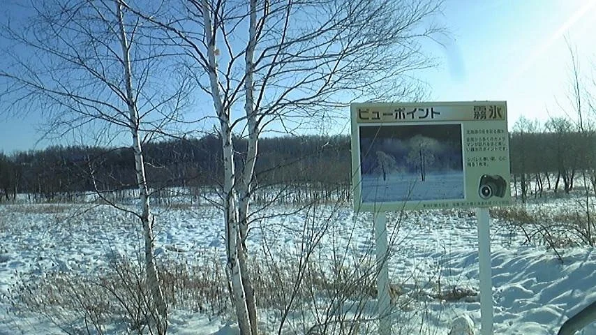 Muhyo Point