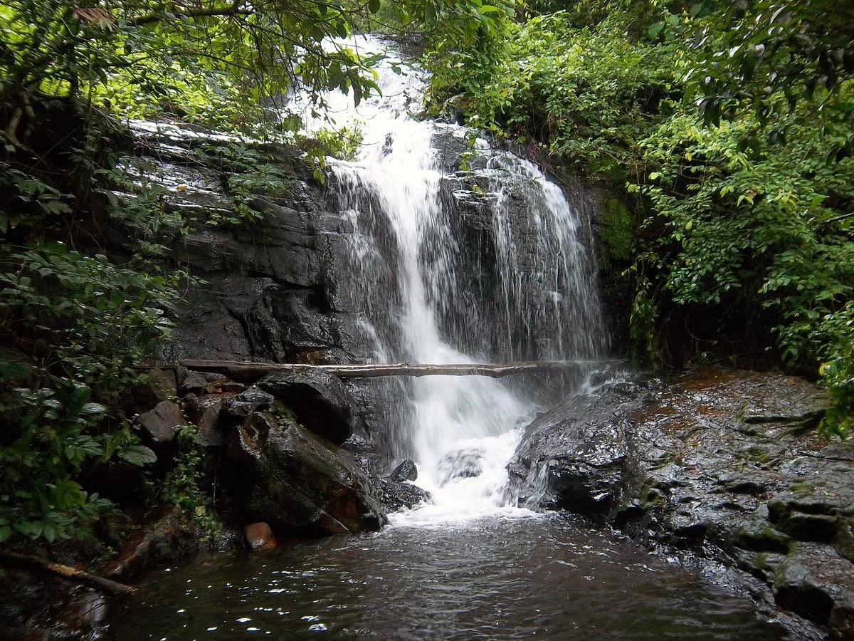 Pattathipara Waterfall
