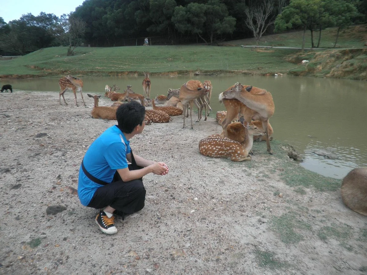 Xiamen Haicang Wild Zoo