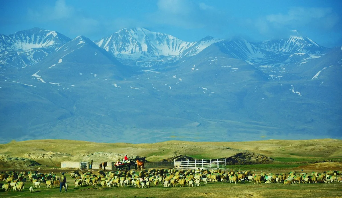 Bayinbuluke Prairie of Xinjiang Uygur