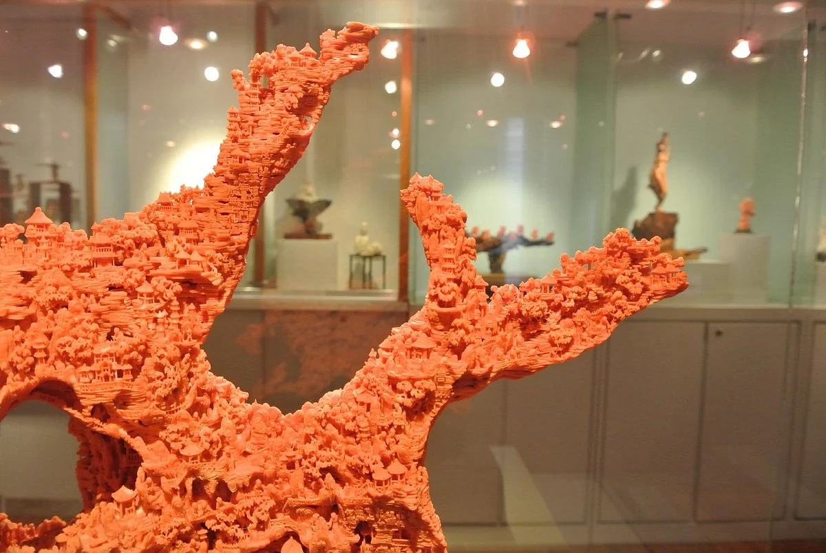 Cccb Coral Museum