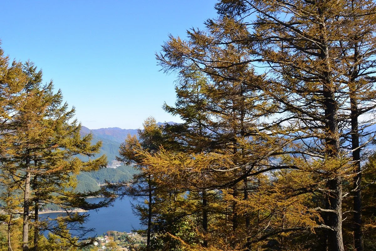 Mt. Ashiwada