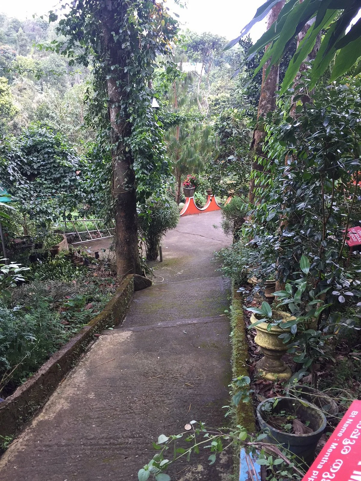 Evergreen Spicegarden