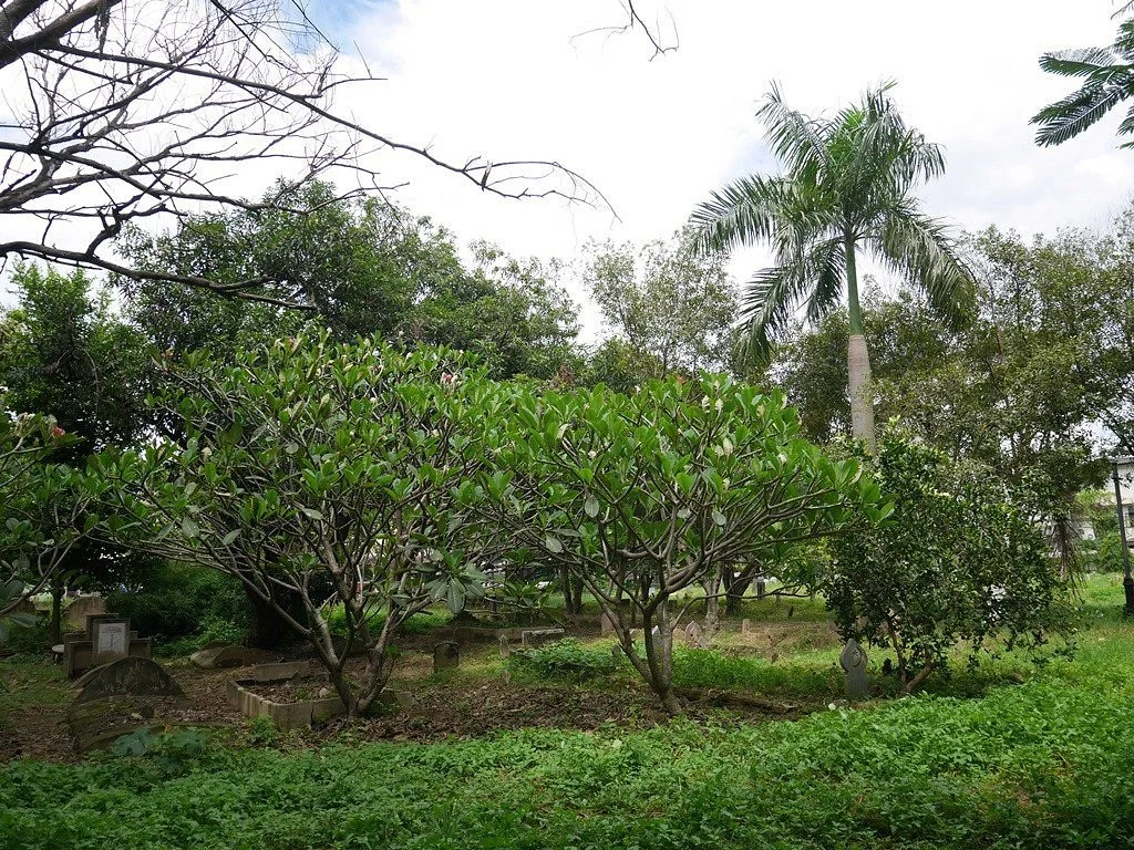 Chang Khlan Cemetery