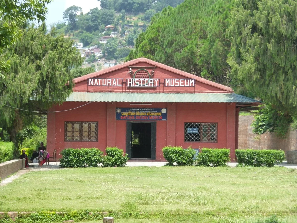 The Natural History Museum