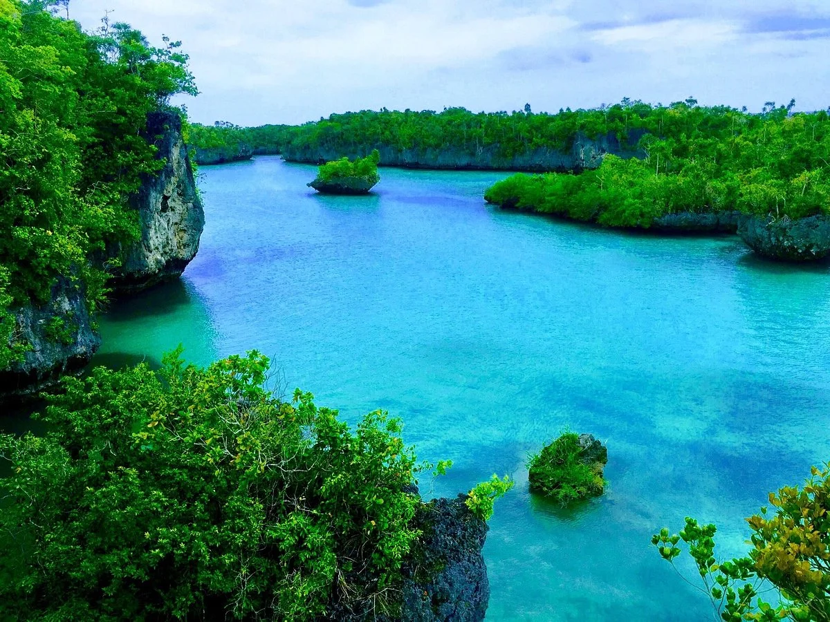 Bair Island