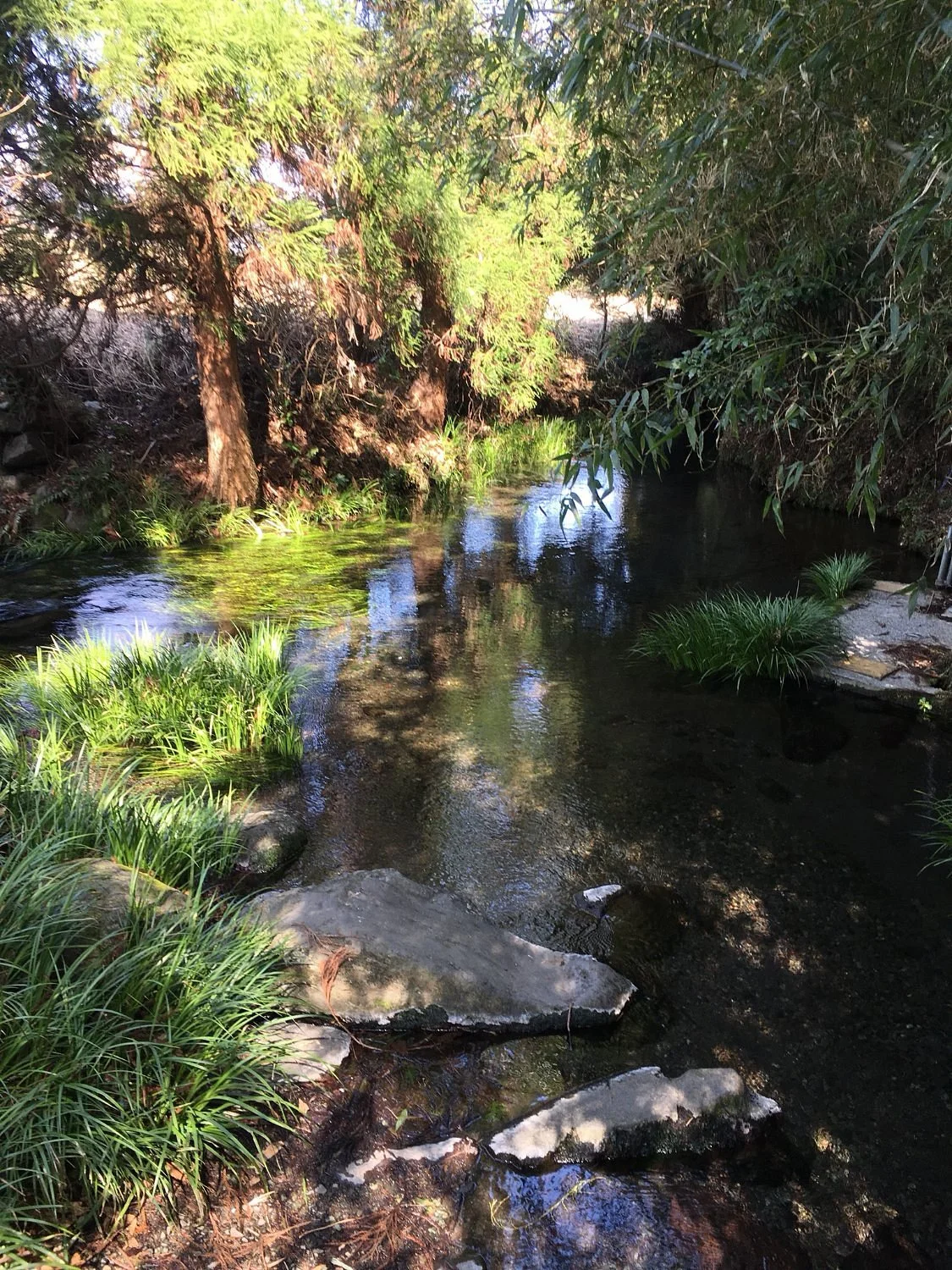 Takezaki Spring Source