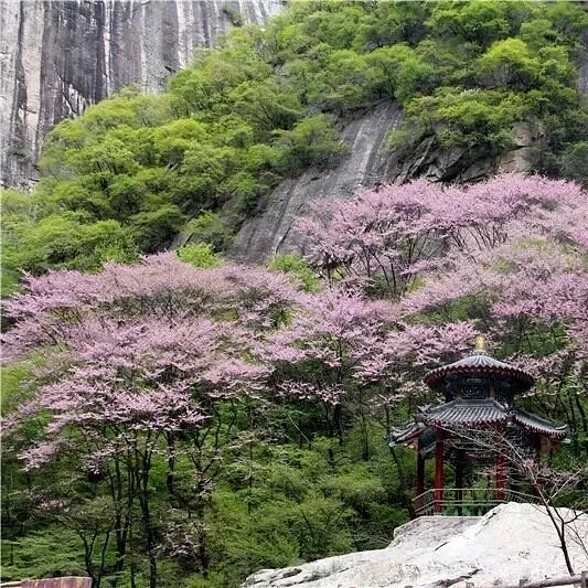 Taibaishan National Forest Park