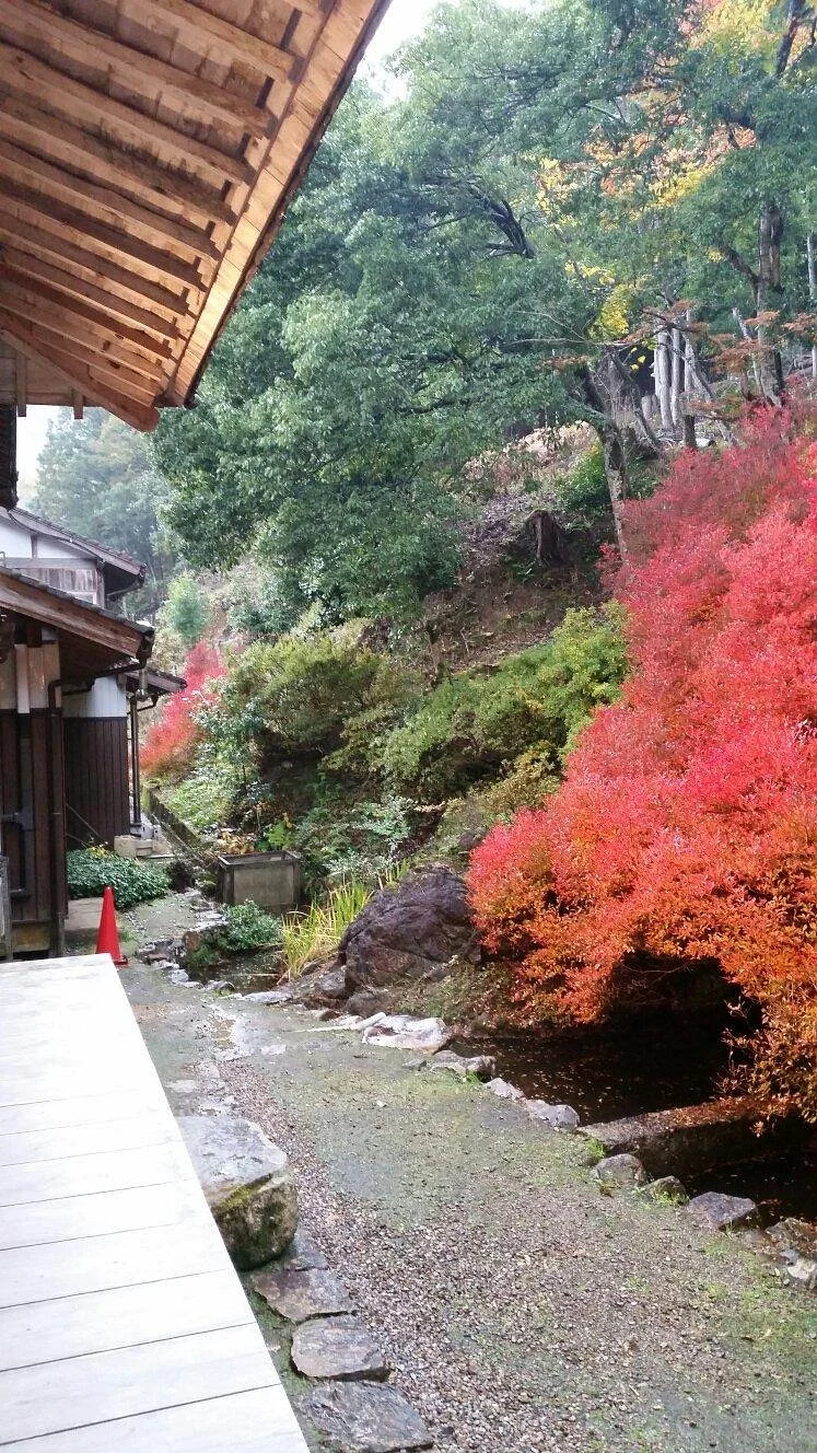 Ankokuji Temple