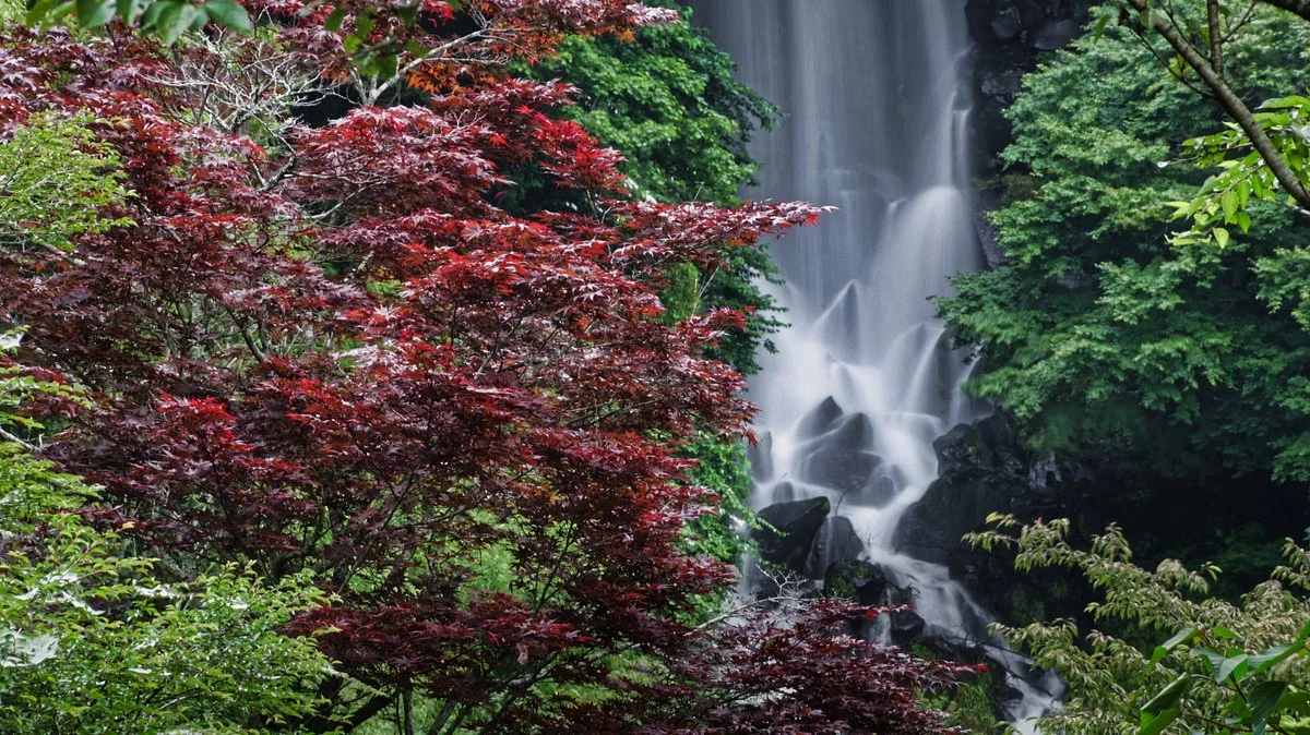 Kumakubo Rural Park Asahi Falls