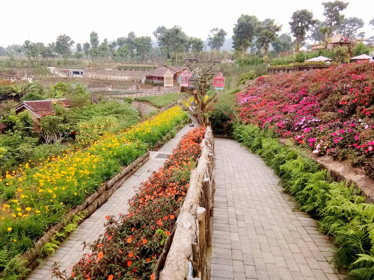 Rainbow Garden