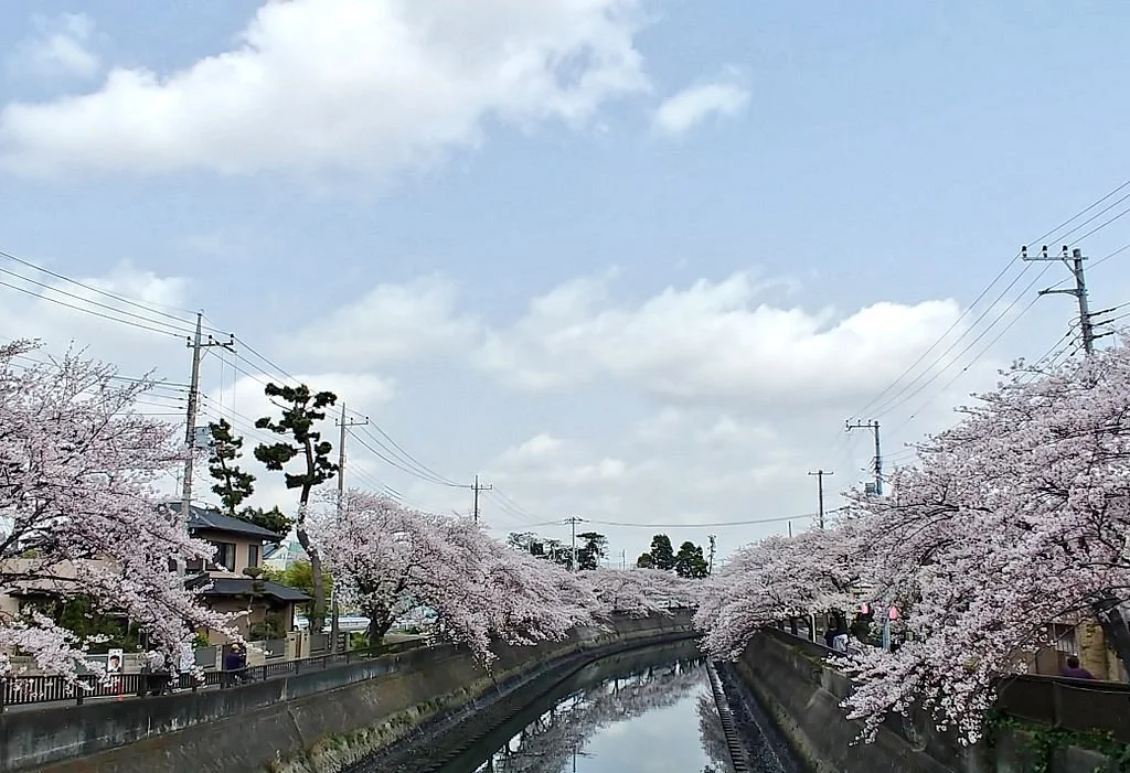 Mama River
