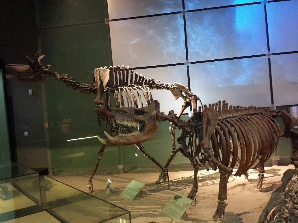 Turpan Museum