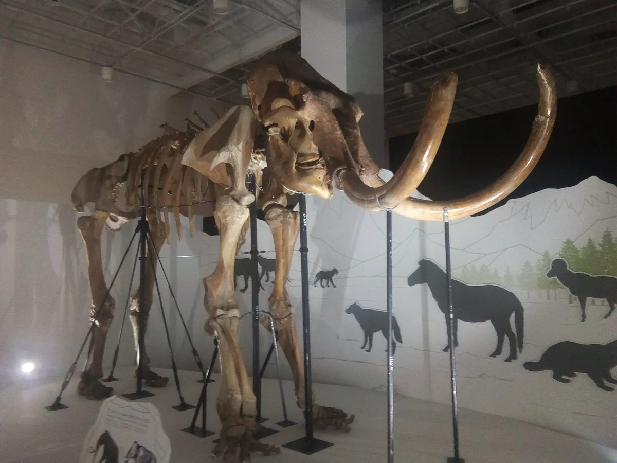 Fukuoka City Science Museum
