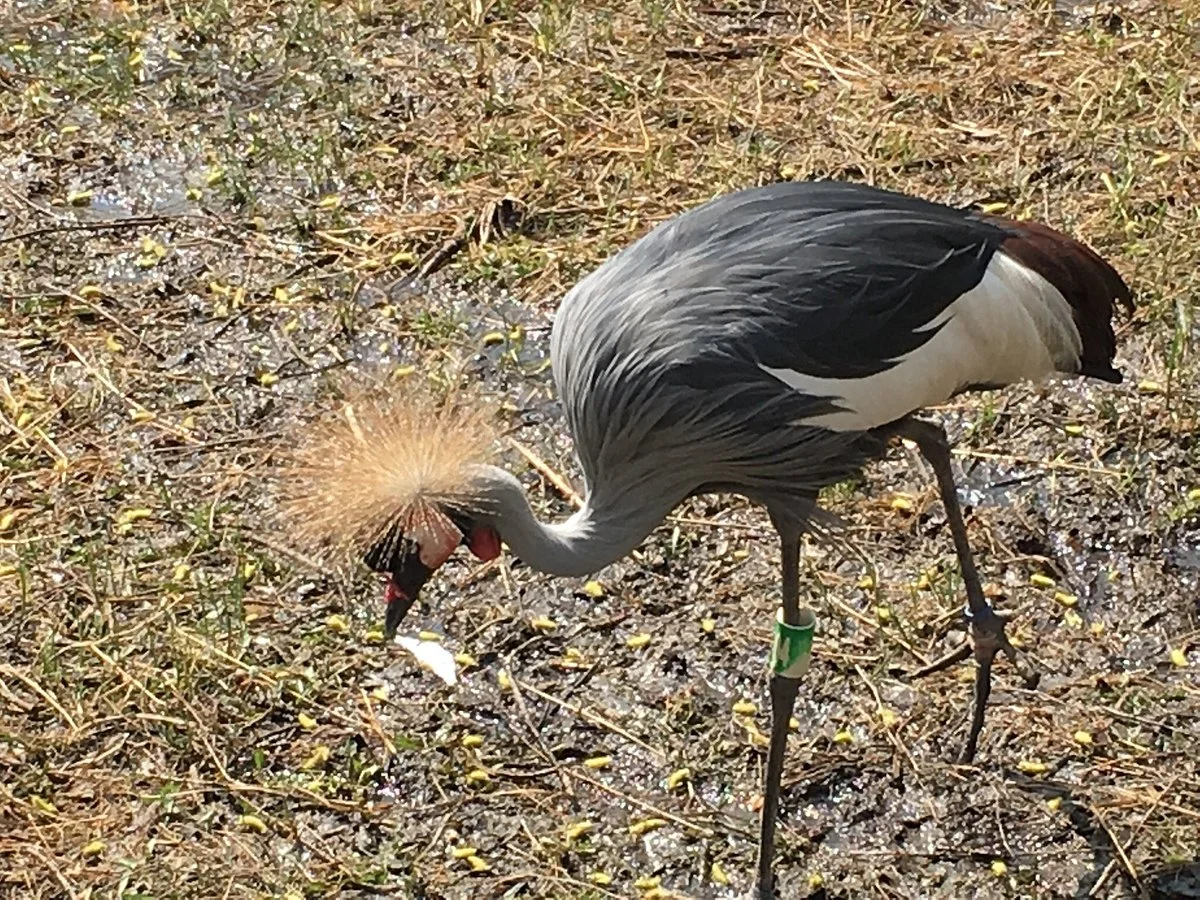 Shenyang Forest Wild Animal Zoo